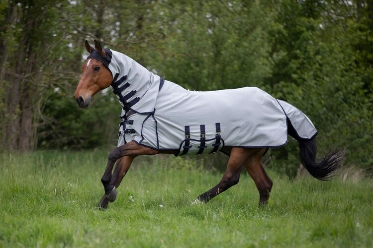 DKR Sports Hoody Eczeemdeken
