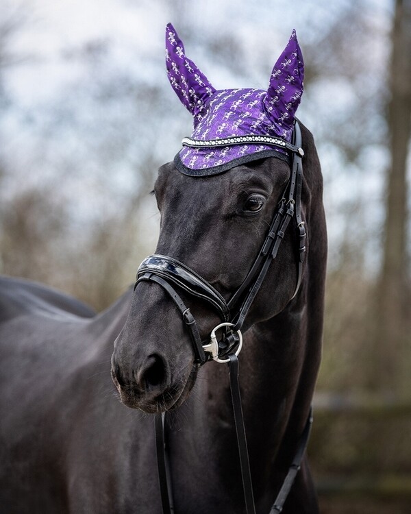 QHP Oornetje Halloween