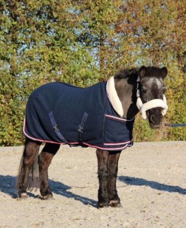 HB Showtime Dutch Crown Little sizes showdeken