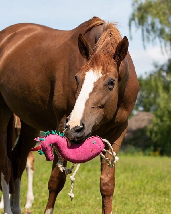 QHP Paardenspeelgoed
