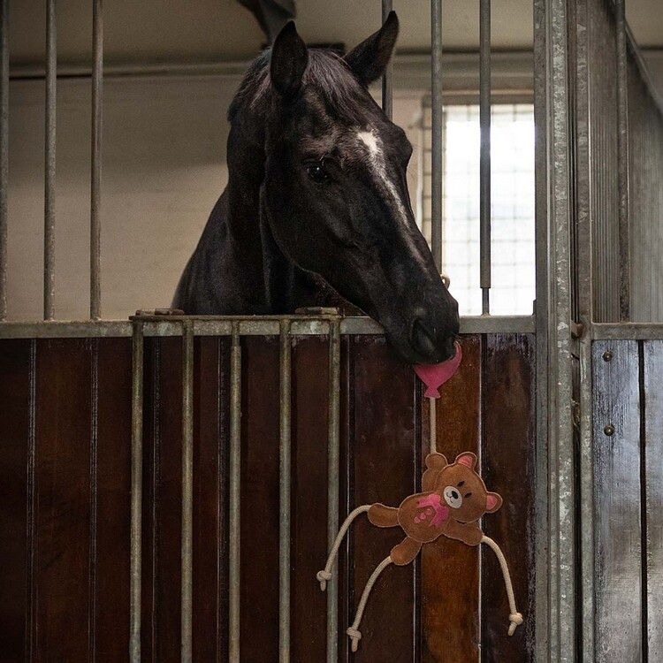 QHP Paardenspeelgoed Valentine