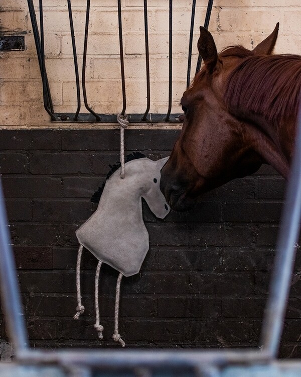 QHP Paardenspeelgoed