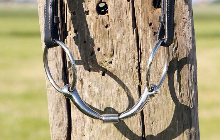 Harry's Horse Watertrens Anatomisch Roll-R 14mm