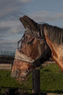 Harry's Horse Flymask Flyshield with nose protection, bamboo-lining