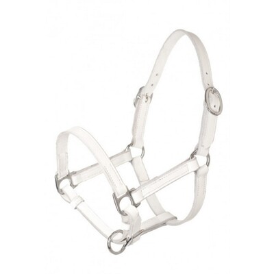 HB Leather foal halter Baby