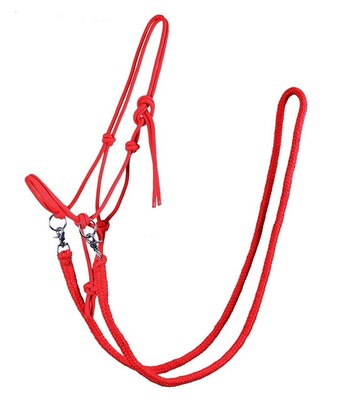 QHP Rope halter with rein