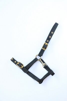 HB Foal Halter with snap hook