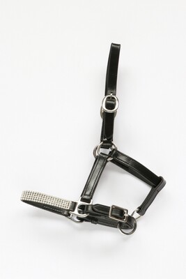 HB Leather Halter Foal with crystalls