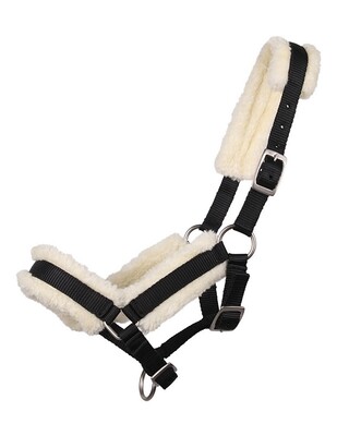 QHP Head collar foal with fur