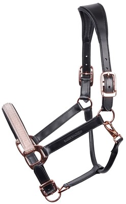 Harry's Horse Head coller leather Broadway