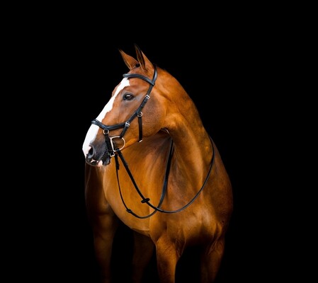 Horseware Micklem 2 Deluxe Competition Bridle