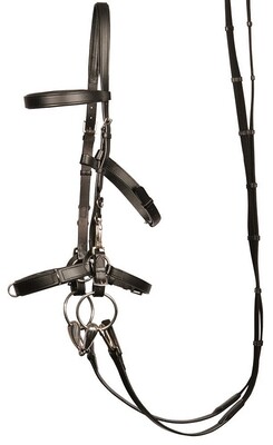 Harry's Horse Leather Lunging/bridle cavesson