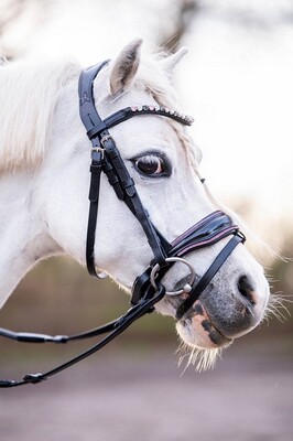 HB Bridle Showtime Special A-pony