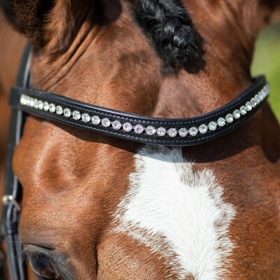DKR Sports Browband Baltimore