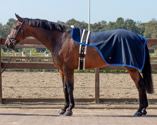 QHP Lunging rug Florence