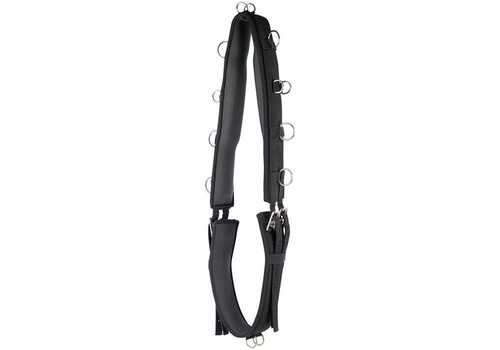 Harry's Horse Lunging girth Luxe