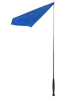 QHP Training stick with flag