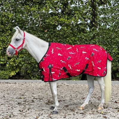 DKR Sports Mini Winter rug 150grs specially for pony's Sweet Pony