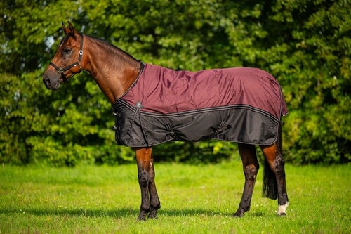 DKR Sports Rain rug turnout Luxe 150grs