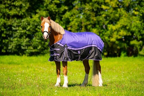 DKR Sports Mini Winter rug 150grs specially for pony's Pretty Purple