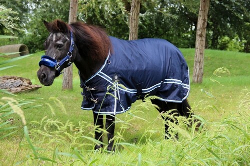 DKR Sports Mini Winter rug 50grs specially for pony's