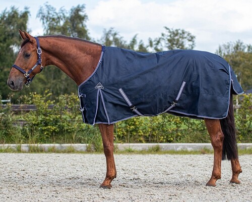 QHP Turnout Rug Luxury 100grs