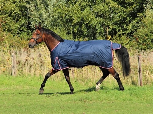 DKR Sports Rain rug turnout Luxe 350grs
