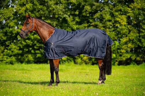 DKR Sports Rain rug turnout Luxe 100grs