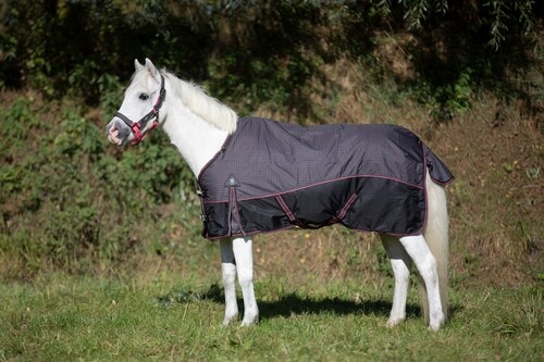 DKR Sports Mini Deluxe Winter rug 150grs specially for pony's