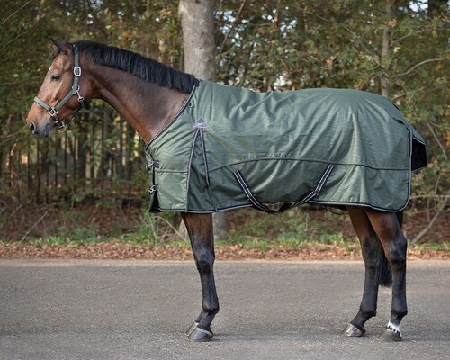 QHP Turnout rug collection 50gr