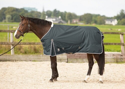 Harry's Horse Turnout Rug Thor 100gr