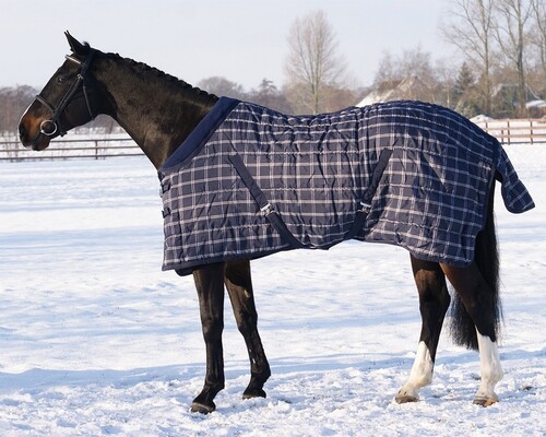 QHP Stable rug navy Check 150gr