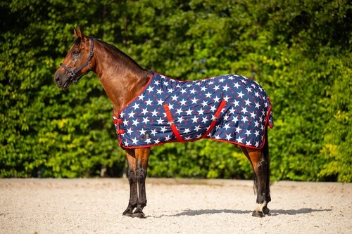DKR Sports Stable Rug  I'm a Star 100grs