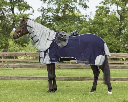 QHP Fly rug exercise sheet with detachable neck