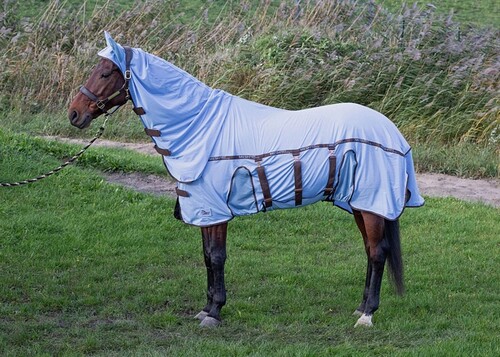 Harry's Horse Flysheet Mesh Pro Belly with Neck