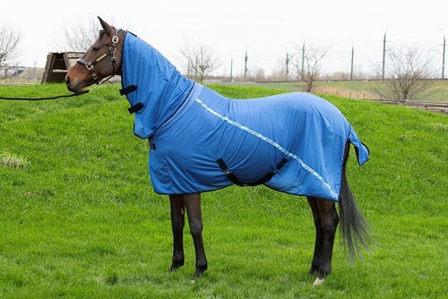 Harry's Horse Cooler- and Fly rug Mesh Pro with neck
