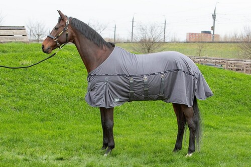 Harry's Horse Flysheet Mesh Pro Belly
