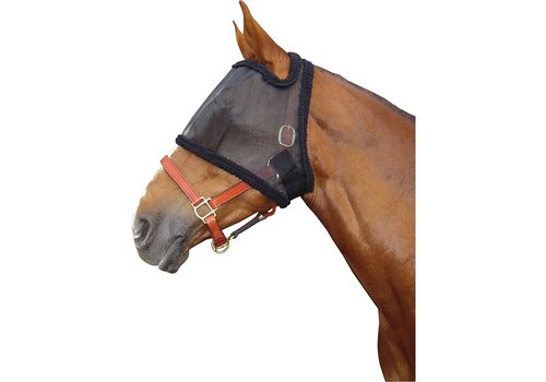 Harry's Horse Flymask without ears