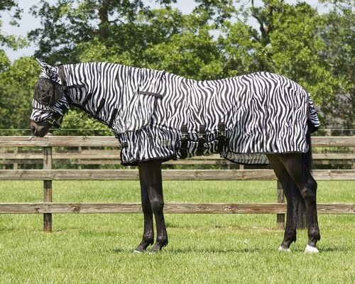 QHP Anti Fly Rug Zebra with neck and hood