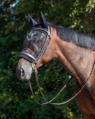 QHP Ear net with fly mask