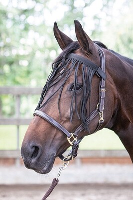 Harry's Horse Flybrowband with fringes