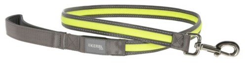 Kerbl Light & Reflex Flashing Leash for dogs