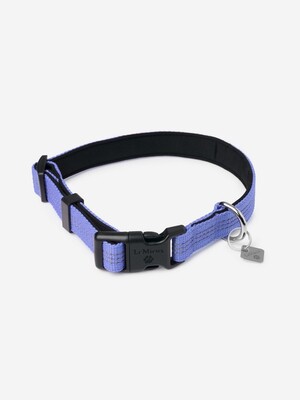 LeMieux Henley Dog Collar