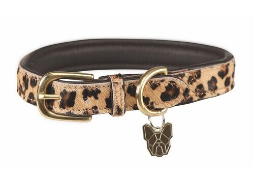 Digby & Fox Leopard Dog Collar