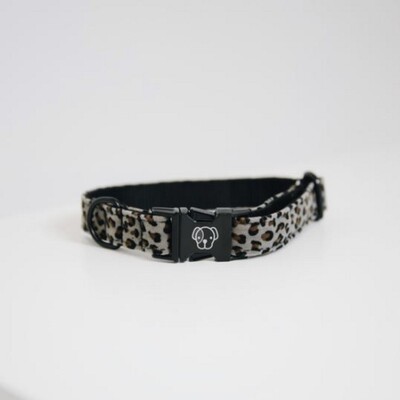 Kentucky Dog collar Leopard