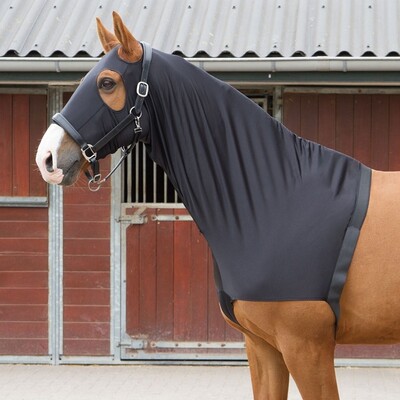 Harry's Horse Lycra chest protector with hood