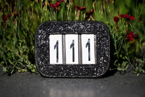 HB Showtime Bridle numbers Glitter
