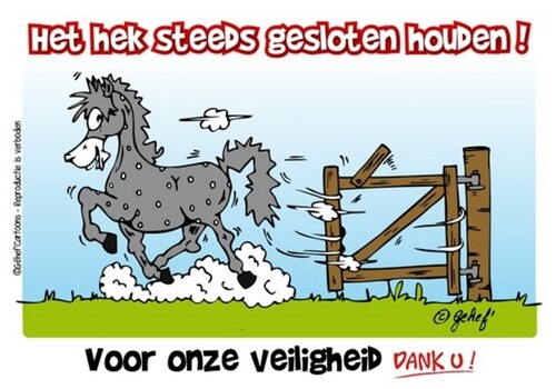 HB Stable Plate - Dutch