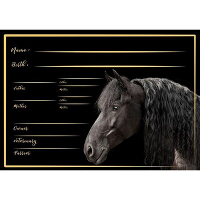 HB Stable plate Friesian horse I