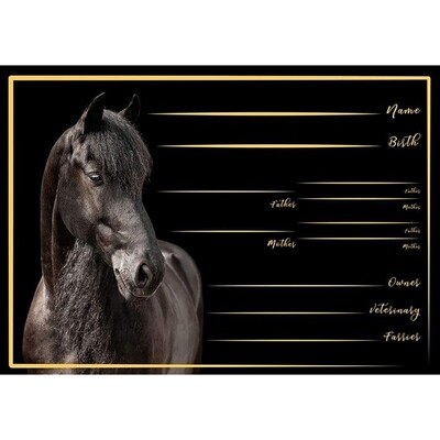 HB Stable plate Friesian horse II